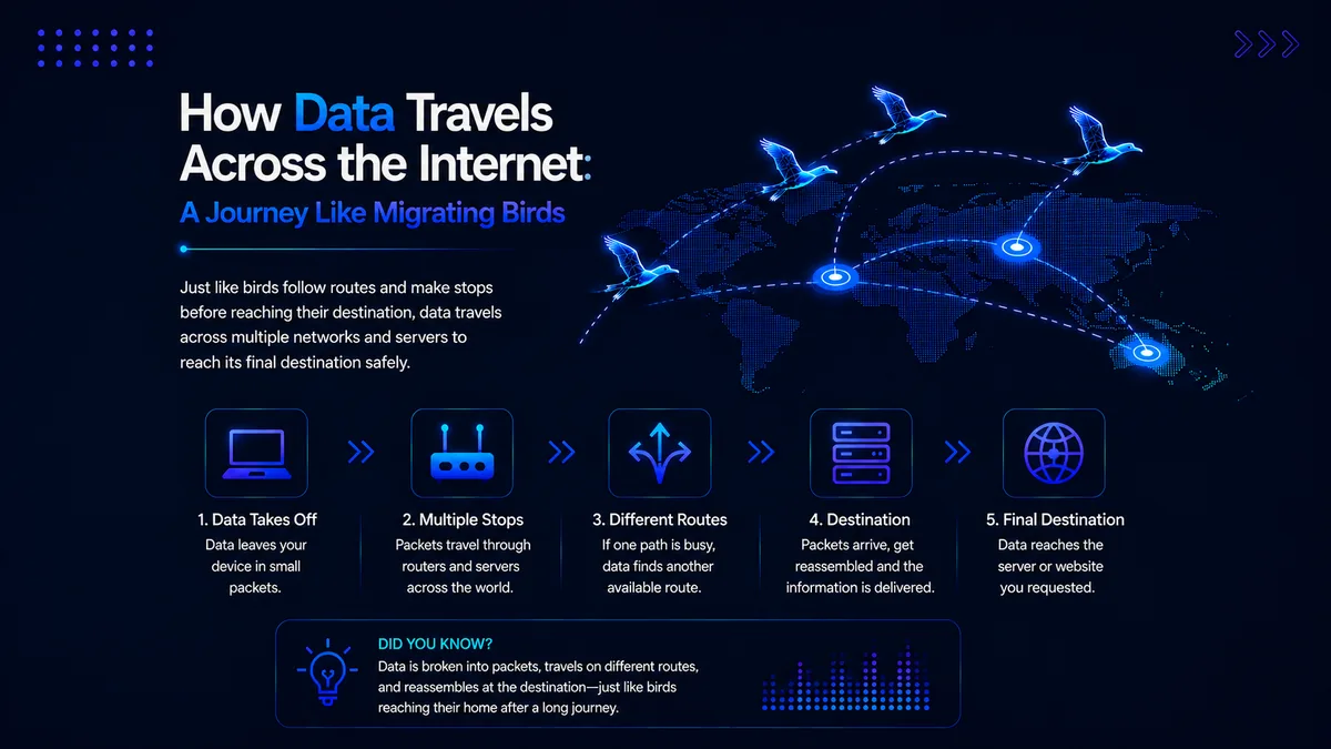 Illustration for the blog How Data Travels Across the Internet, showing data packets moving through routers, servers and multiple network routes like migrating birds traveling to a final destination.